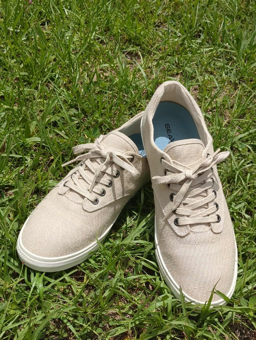 SeaVees Low-Top Sneaker in Natural Beige